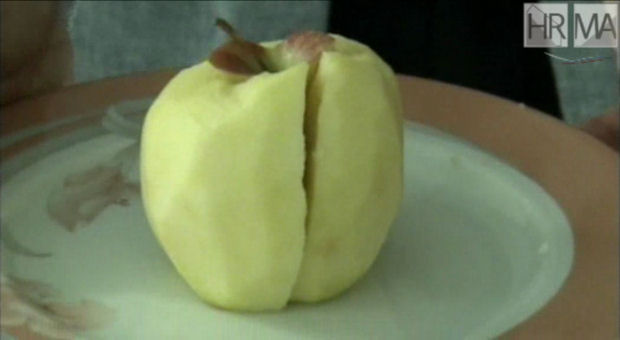 Logo Découpage de fruits : la pomme