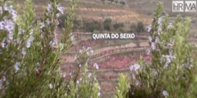 Logo Visite à Porto et dans la vallée du Douro - Film 6 « Sandeman - Quinta Do Seixo » 