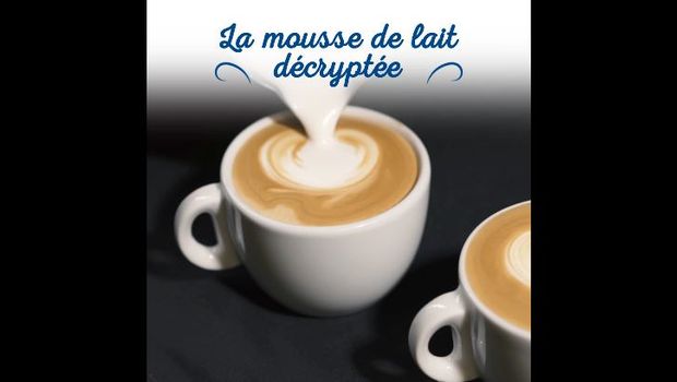 Logo Animation : la mousse de lait