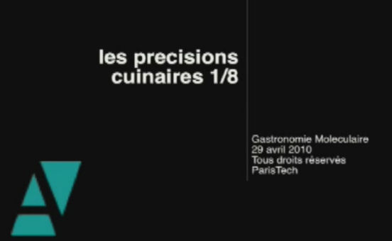 Logo Les précisions culinaires. Cours de gastronomie moléculaire. AgroParisTech, 19 & 20 janvier 2009 - Film 1 sur 8