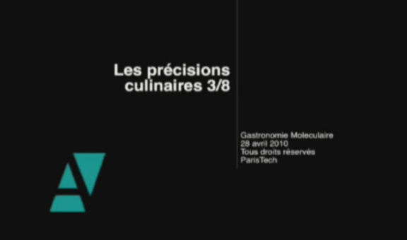 Logo Les précisions culinaires. Cours de gastronomie moléculaire. AgroParisTech, 19 & 20 janvier 2009 - Film 3 sur 8