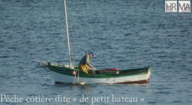 Logo Produits de la mer : poissons, crustacés et coquillages