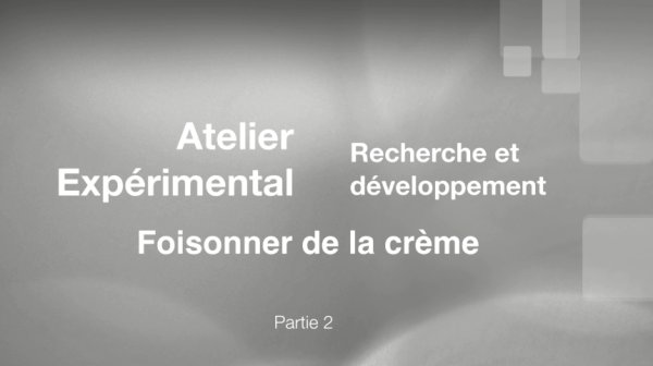 Logo Atelier Expérimental Recherche et développement - Taux de foisonnement de la crème. Film 2 - Travaux des groupes 