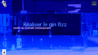 Logo Réaliser le Gin Fizz
