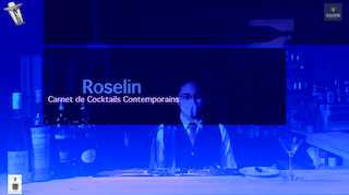 Logo Réaliser le Roselin