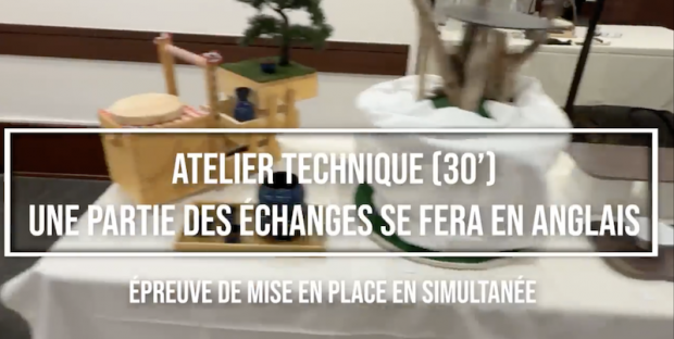 Impossible de lire la video