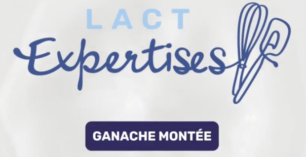 Impossible de lire la video