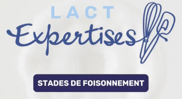 Impossible de lire la video