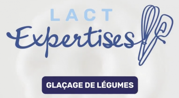 Impossible de lire la video