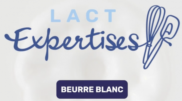 Impossible de lire la video