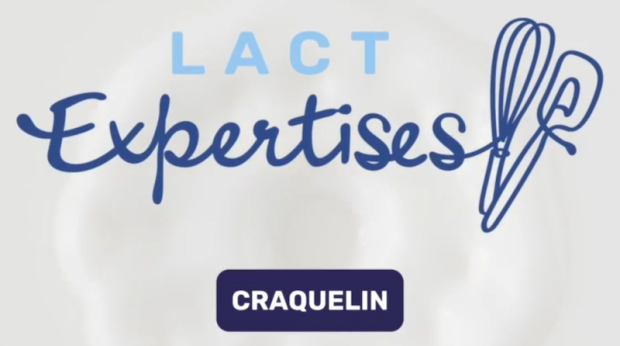 Impossible de lire la video