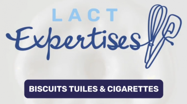 Impossible de lire la video