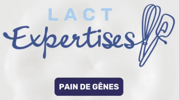 Impossible de lire la video