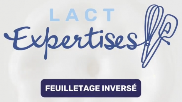 Impossible de lire la video