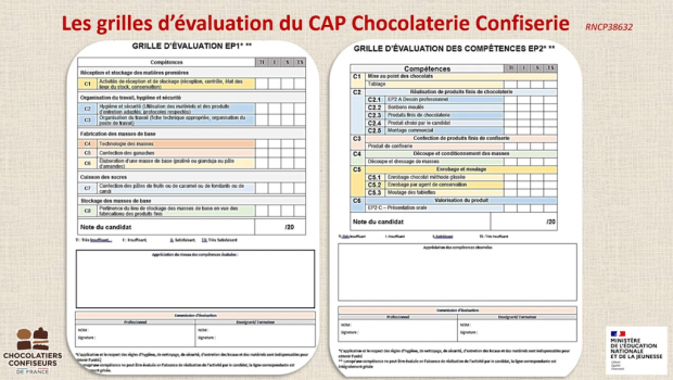 Impossible de lire la video