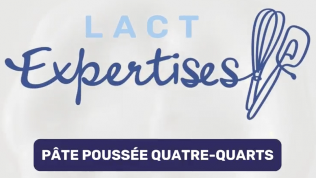 Impossible de lire la video