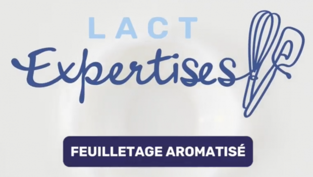 Impossible de lire la video