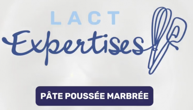 Impossible de lire la video