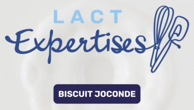 Impossible de lire la video